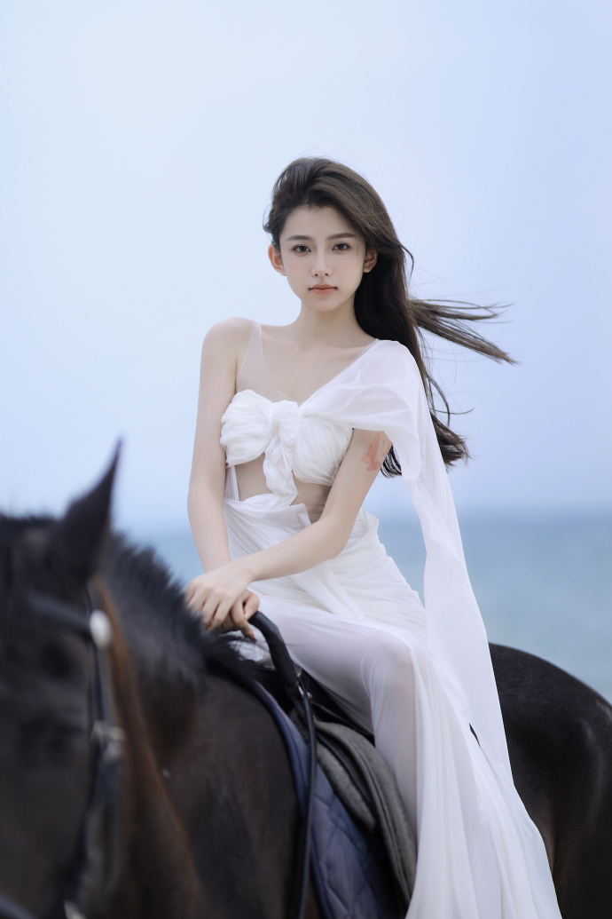 我的团长我的团 封面
